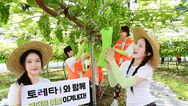 한국코카콜라, 25개 대학 농촌봉사단체에 토레타 1만2000개 지원 알려