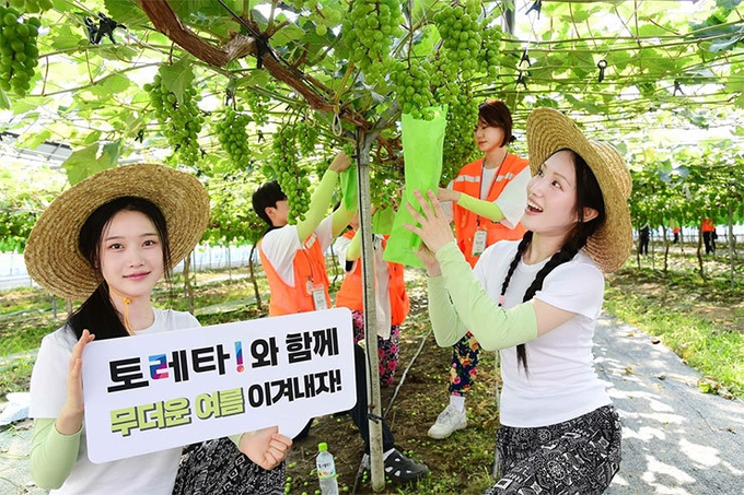 사진제공=한국코카콜라